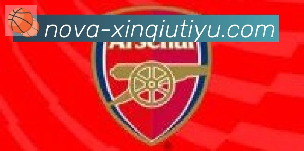 新球体育合作伙伴